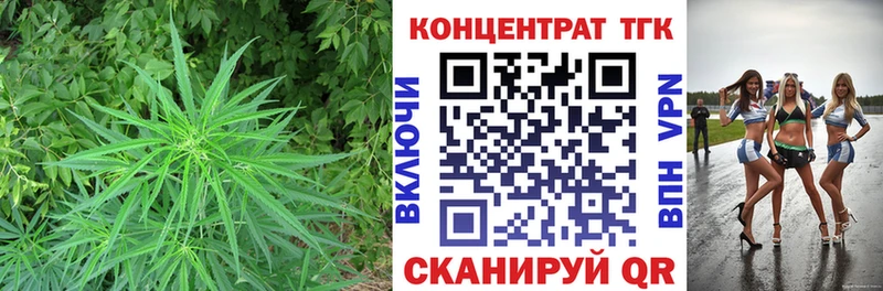 ТГК концентрат где найти Шахты