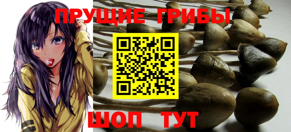Шахты  Псилоцибиновые грибы прущие грибы  Галлюциногенные грибы мицелий  Вход с VPN 