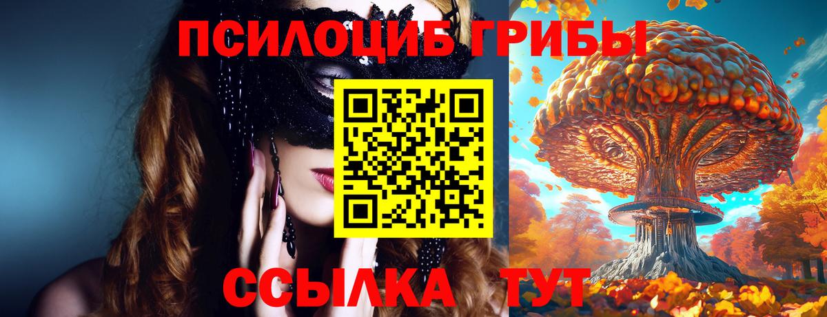 Галлюциногенные грибы Psilocybine cubensis Шахты