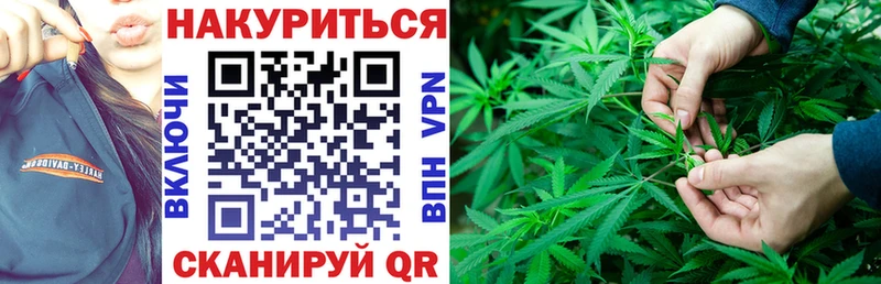 Бошки марихуана ГИДРОПОН  наркотики  Шахты 